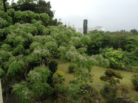Minshuku Sendan Hotel