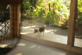 Shinminka Villa Gushiken