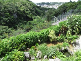 Hibis Resort