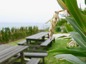 Family Lodge Nanjo