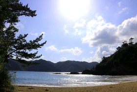 Cottage Tingara