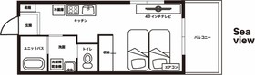 Blue Entrance Kitchen