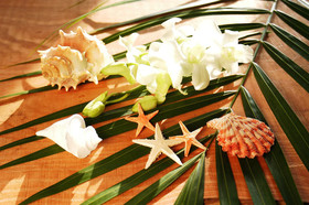 Design Resort Nakadoma inn