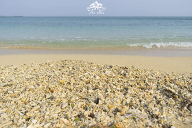 Ocean Villa Tin Gala