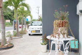 Ocean Villa Tin Gala