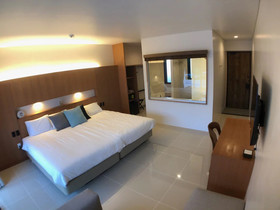 Nest Iriomote