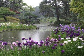 Daiwa Roynet Hotel Takamatsu