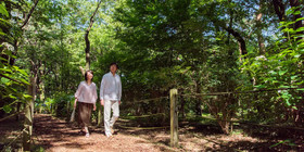 Forest Inn Showakan