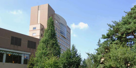 Forest Inn Showakan