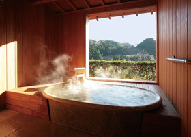 Shunsai No Yado Seasonal Inn Ryokusuitei