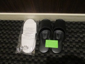 Chiba Washington Hotel