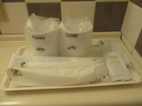 Chiba Washington Hotel