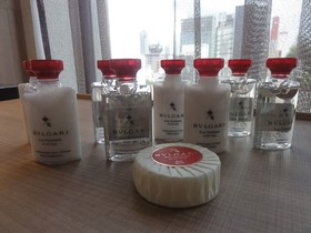 Millennium Mitsui Garden Hotel Tokyo