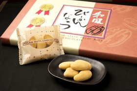 Hotel Villa Fontaine Tokyo - Hamamatsucho