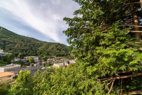 Butterfly Paradise Hakone-Yumoto