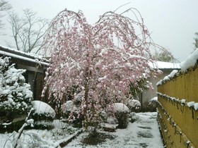 Fuji-Hakone Guest House