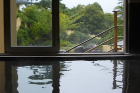 Hakone Kowakien Ten-yu