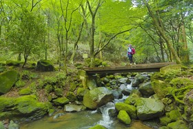 Hakone Kowakien Ten-yu