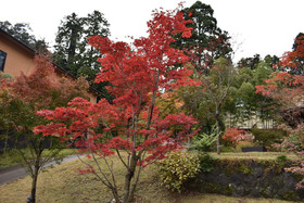 Hakone Suishoen