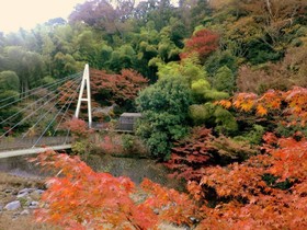 Hakone Tounosawa-Onsen Shiunso