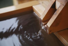 Kinnotake Tonosawa Inn