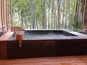 Kinnotake Tonosawa Inn