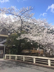 Masutomi Ryokan