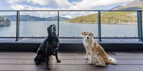 Rakuten Stay Fujimiterrace Hakone Ashinoko