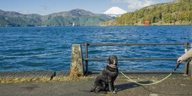 Rakuten Stay Fujimiterrace Hakone Ashinoko