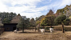 Sengokubara Cocon