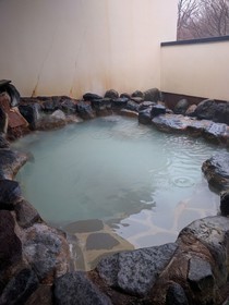 Sengokuhara Shinanoki Ichinoyu