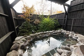 Sengokuhara Shinanoki Ichinoyu
