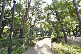 West Kumegawa