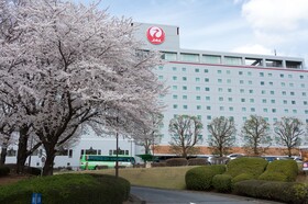 Nikko Narita