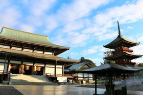 Nikko Narita
