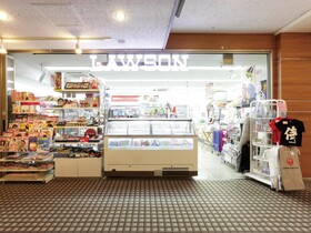 Nikko Narita