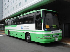 Nikko Narita