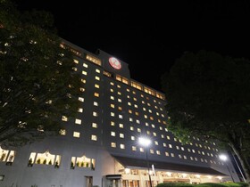 Nikko Narita