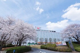 Nikko Narita
