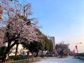 APA Hotel Asakusa Kaminarimon