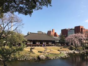 Asakusa Shinobi House
