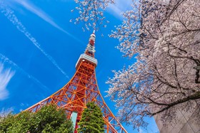 Candeo Hotels Tokyo Shimbashi