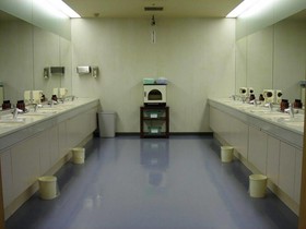Capsule Inn Kamata