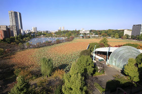 Centurion Ladies Hostel Ueno Park