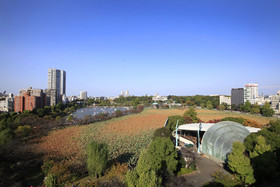 Centurion Ladies Hostel Ueno Park