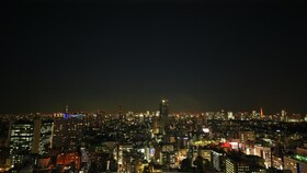 Hotel Gracery Shinjuku