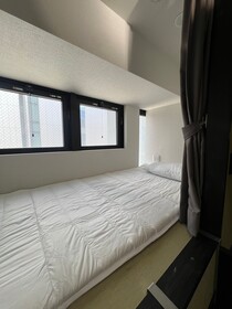 Hotel Winds Asakusa Capsule Inn  Hostel