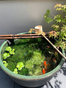 Shinjuku Miyabi Residence