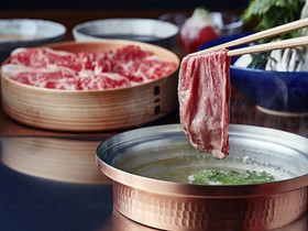 Sotetsu Fresa Inn Ginza-Sanchome
