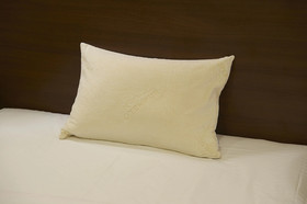 Sotetsu Fresa Inn Ginza-Sanchome